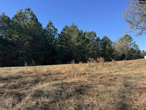 Sc 215 Highway Jenkinsville SC 29065