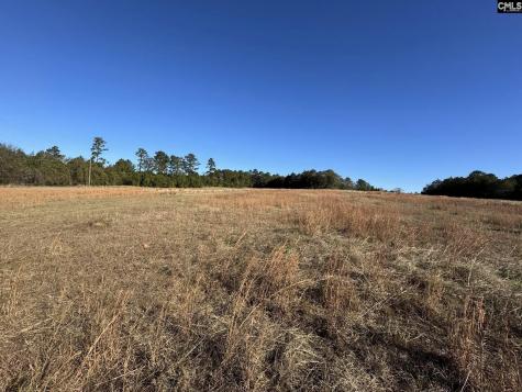 Sc 215 Highway Jenkinsville SC 29065