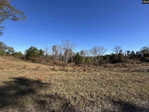 Sc 215 Highway Jenkinsville SC 29065