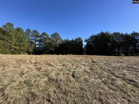 Sc 215 Highway Jenkinsville SC 29065