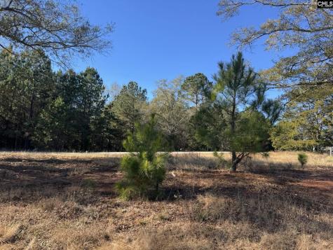 Sc 215 Highway Jenkinsville SC 29065