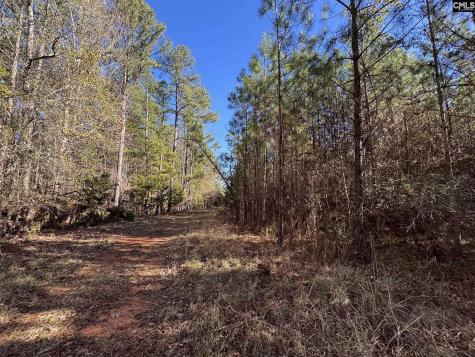 Sc 215 Highway Jenkinsville SC 29065