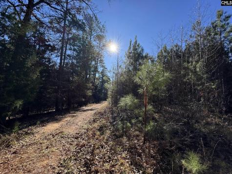 Sc 215 Highway Jenkinsville SC 29065