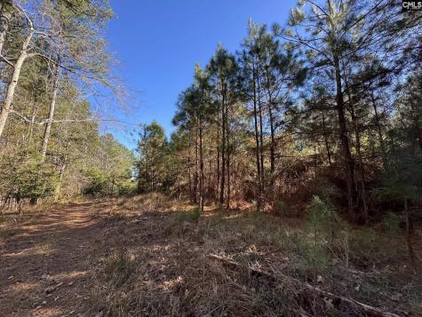 Sc 215 Highway Jenkinsville SC 29065