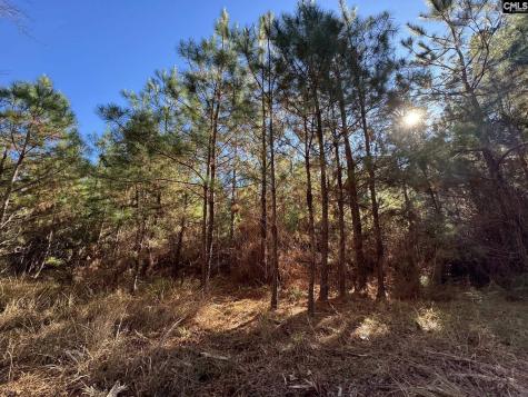 Sc 215 Highway Jenkinsville SC 29065