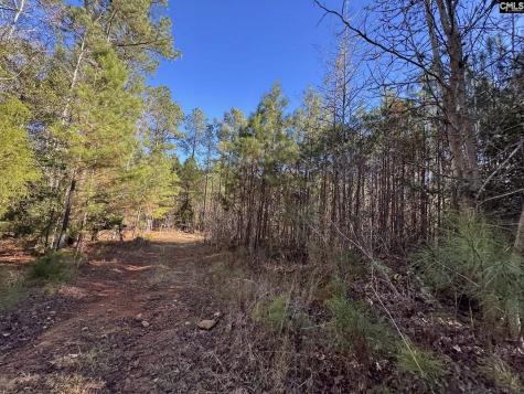 Sc 215 Highway Jenkinsville SC 29065