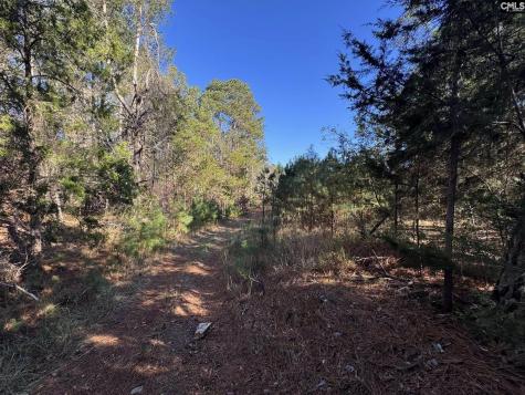 Sc 215 Highway Jenkinsville SC 29065