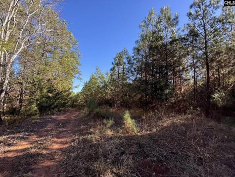 Sc 215 Highway Jenkinsville SC 29065