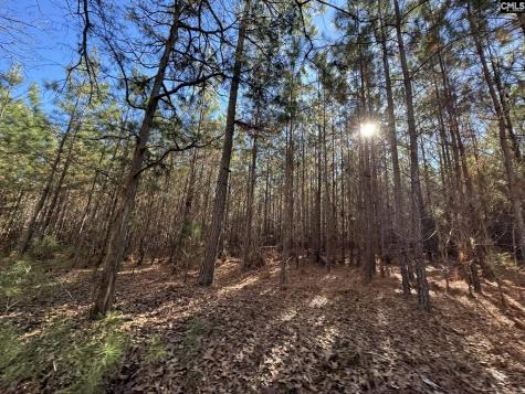 Sc 215 Highway Jenkinsville SC 29065