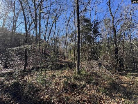 Sc 215 Highway Jenkinsville SC 29065