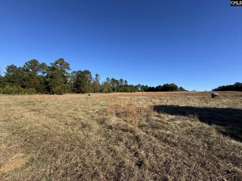 Sc 215 Highway Jenkinsville SC 29065