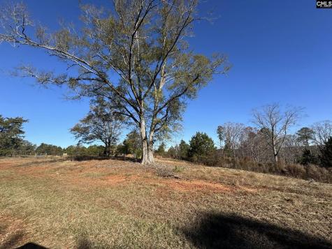 Sc 215 Highway Jenkinsville SC 29065