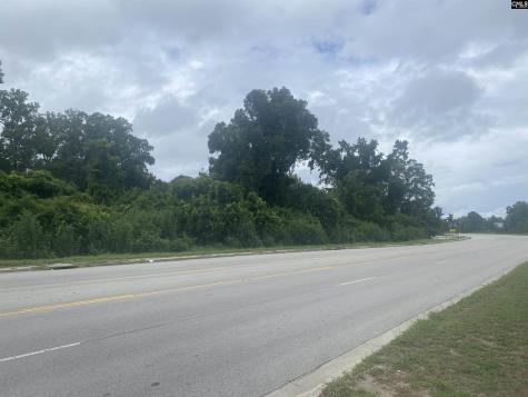 0 Charleston Highway Orangeburg SC 29115