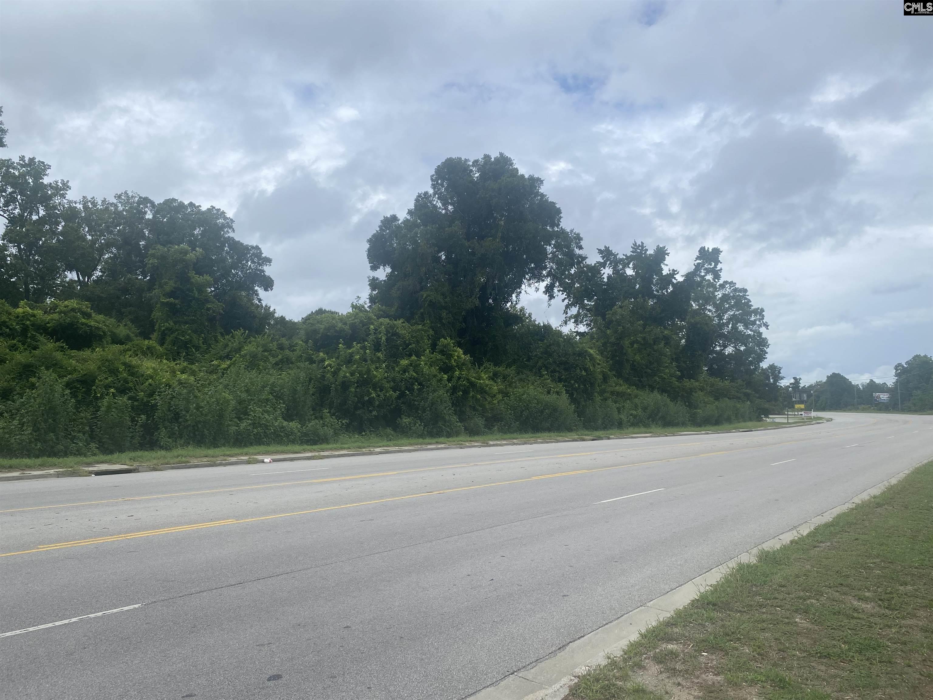 0 Charleston Highway Orangeburg SC 29115