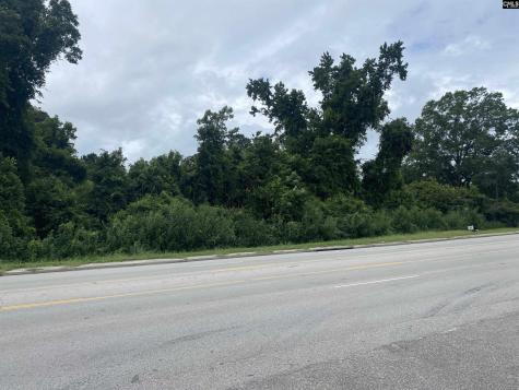 0 Charleston Highway Orangeburg SC 29115