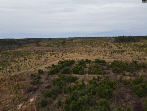 Tract 13 Holland Lane Camden SC 29020