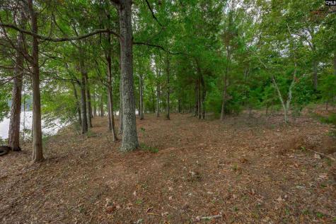 0 Spence Shore Court Lot 2 Lexington SC 29072
