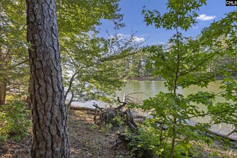 0 Lominack Road Prosperity SC 29127