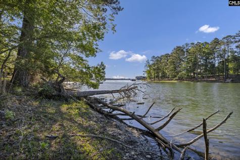0 Lominack Road Prosperity SC 29127