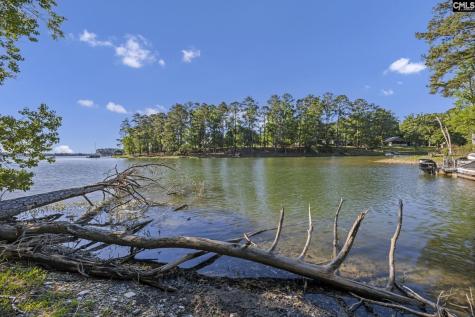 0 Lominack Road Prosperity SC 29127