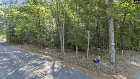 0 Lominack Road Prosperity SC 29127