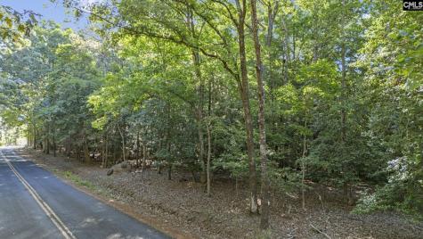 0 Lominack Road Prosperity SC 29127