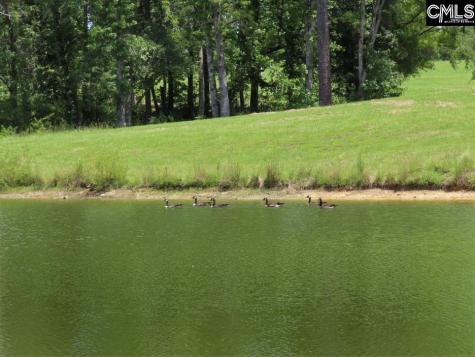 529 Martin Road Winnsboro SC 29180