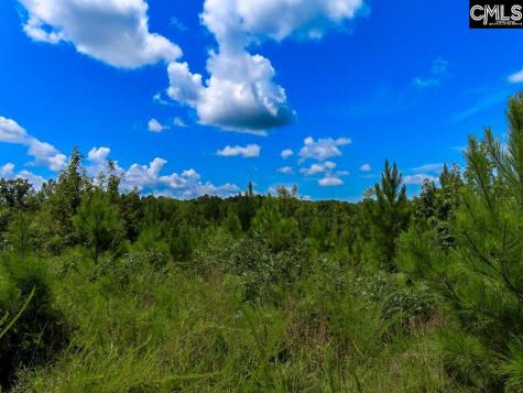 529 Martin Road Winnsboro SC 29180