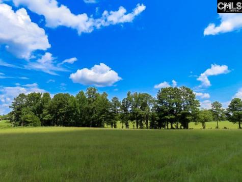 529 Martin Road Winnsboro SC 29180