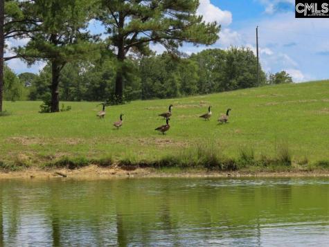 529 Martin Road Winnsboro SC 29180