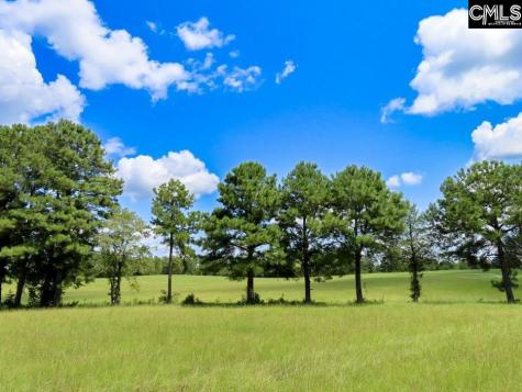 529 Martin Road Winnsboro SC 29180