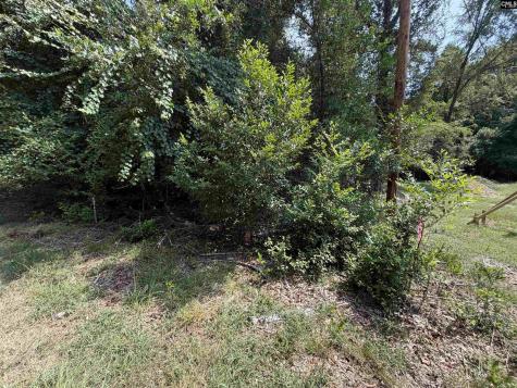 2361 Shedrick Street Camden SC 29020-0000