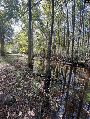 812 Shillings Bridge Road Orangeburg SC 29118