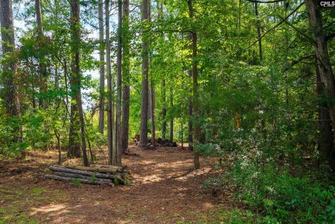 277 Cherry Circle Prosperity SC 29127