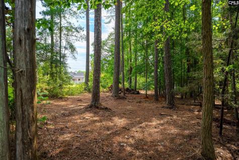 277 Cherry Circle Prosperity SC 29127