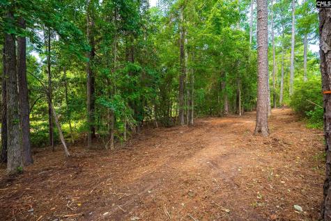277 Cherry Circle Prosperity SC 29127