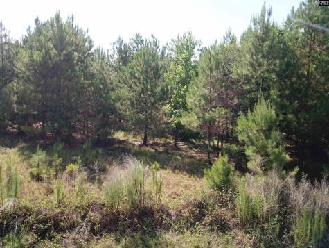 5051 Spring Hill Road Rembert SC 29128-0000