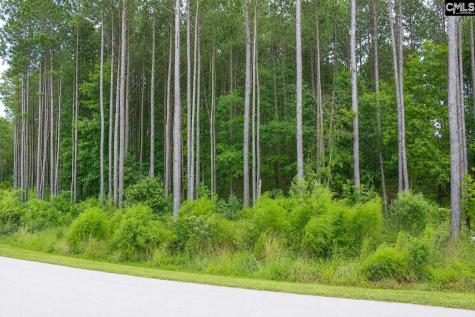 Clouds Creek Circle Leesville SC 29070