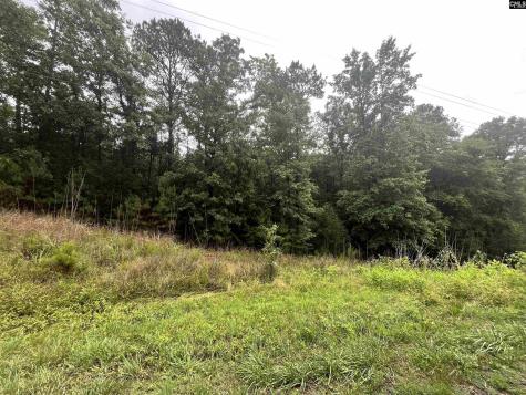 0 Carlisle Whitmire Highway Whitmire SC 29178