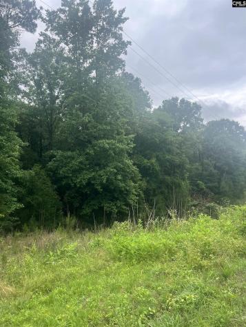 0 Carlisle Whitmire Highway Whitmire SC 29178