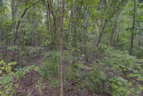 329 Old Wood Drive Columbia SC 29212