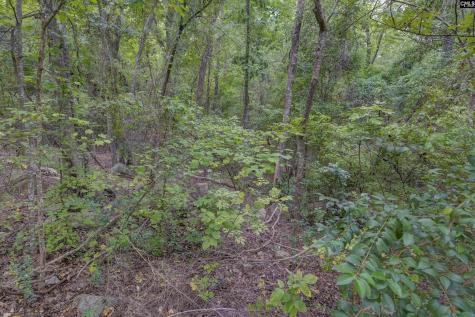 329 Old Wood Drive Columbia SC 29212