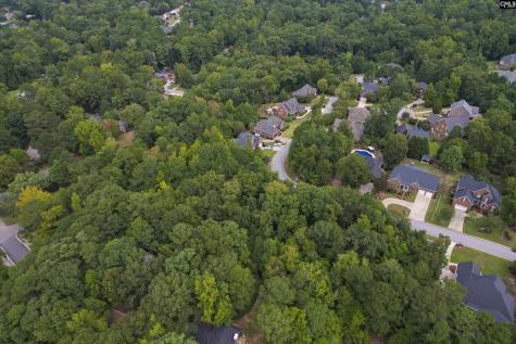 329 Old Wood Drive Columbia SC 29212