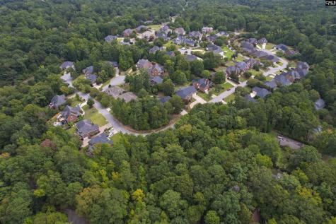 329 Old Wood Drive Columbia SC 29212