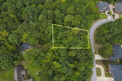 329 Old Wood Drive Columbia SC 29212