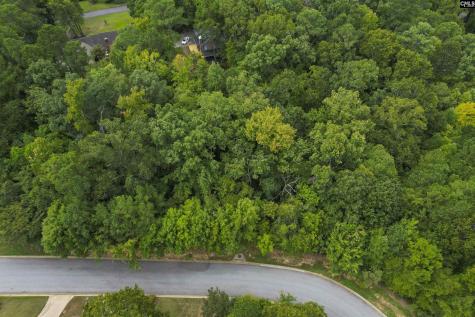 329 Old Wood Drive Columbia SC 29212
