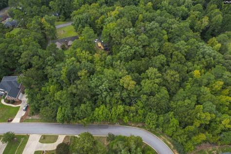 329 Old Wood Drive Columbia SC 29212