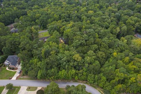 329 Old Wood Drive Columbia SC 29212