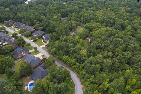 329 Old Wood Drive Columbia SC 29212