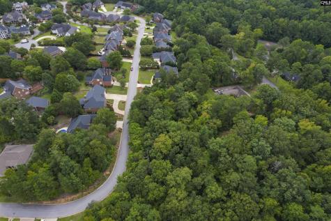 329 Old Wood Drive Columbia SC 29212